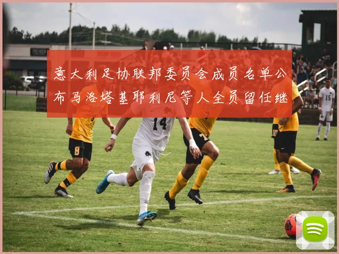意大利足协联邦委员会成员名单公布马洛塔基耶利尼等人全员留任继续服务
