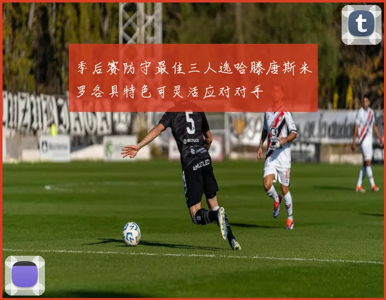 季后赛防守最佳三人选哈滕唐斯米罗各具特色可灵活应对对手