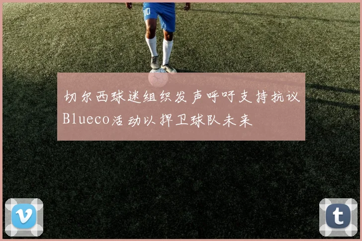 切尔西球迷组织发声呼吁支持抗议Blueco活动以捍卫球队未来