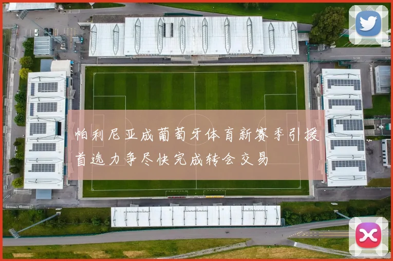 帕利尼亚成葡萄牙体育新赛季引援首选力争尽快完成转会交易